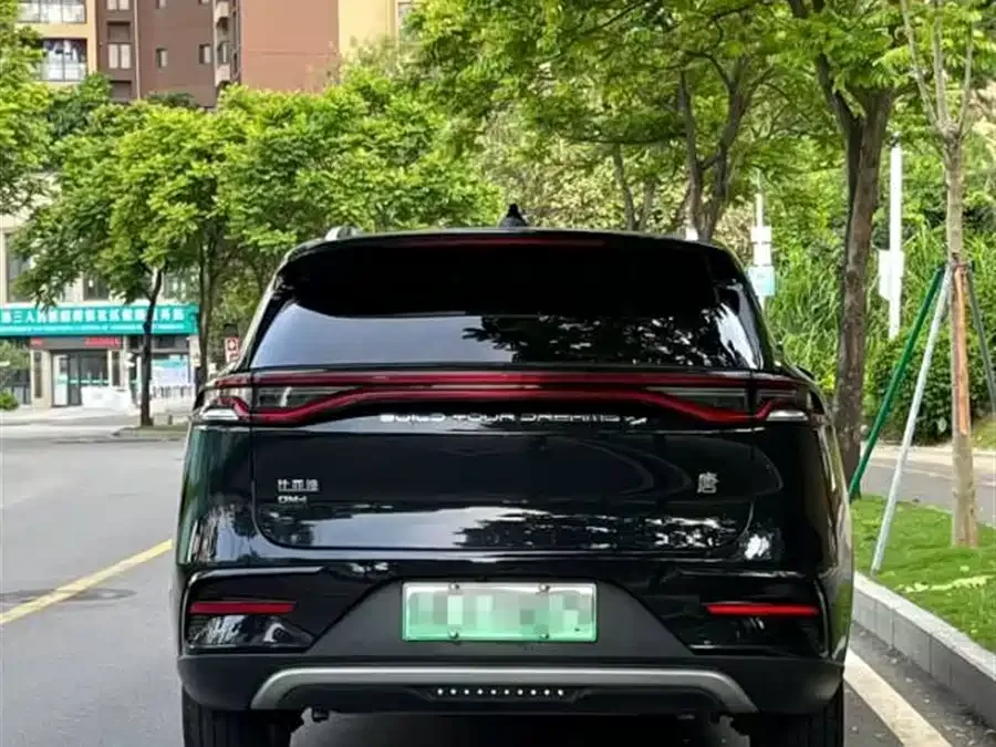 BYD Tang New Energy Tang New Energy 2021 DM-i 112KM Premium Edition 2022 — миниатюра 4