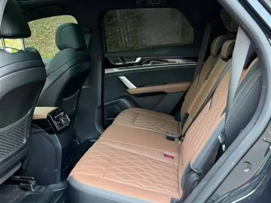 BYD Tang New Energy Tang New Energy 2021 DM-i 112KM Premium Edition 2022 — миниатюра 5