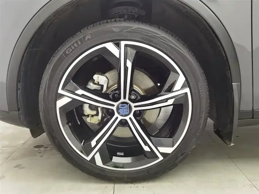 BYD Tang New Energy Tang New Energy 2021 DM-i 112KM Premium Edition 2022 — миниатюра 5