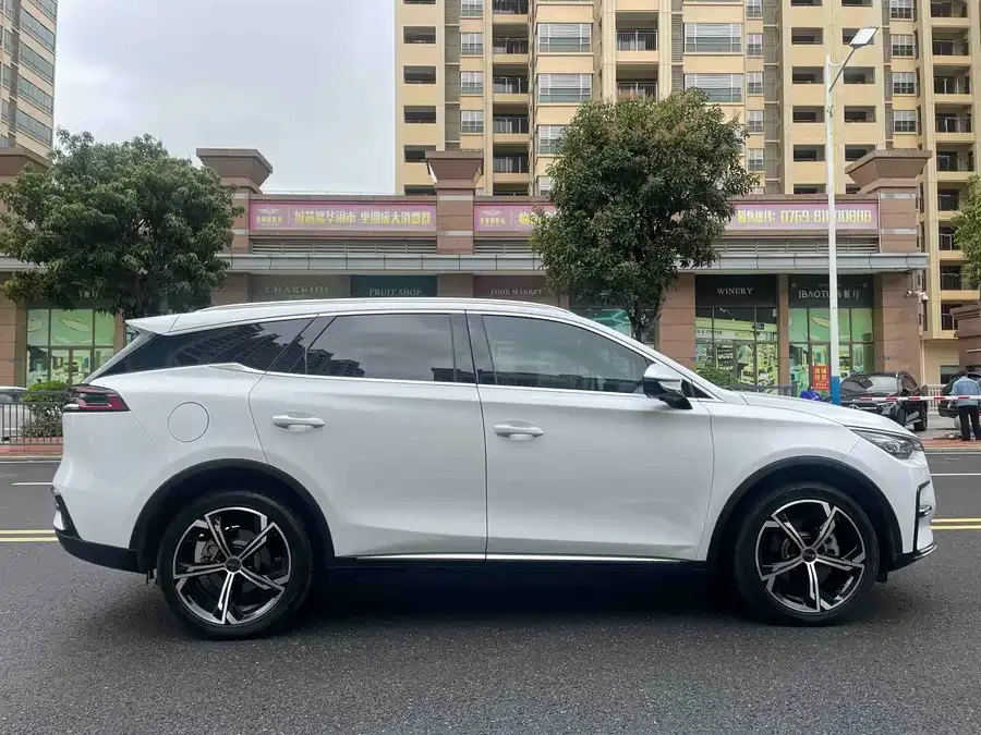 BYD Tang New Energy Tang New Energy 2021 DM-i 112KM Premium Edition 2022 — миниатюра 2