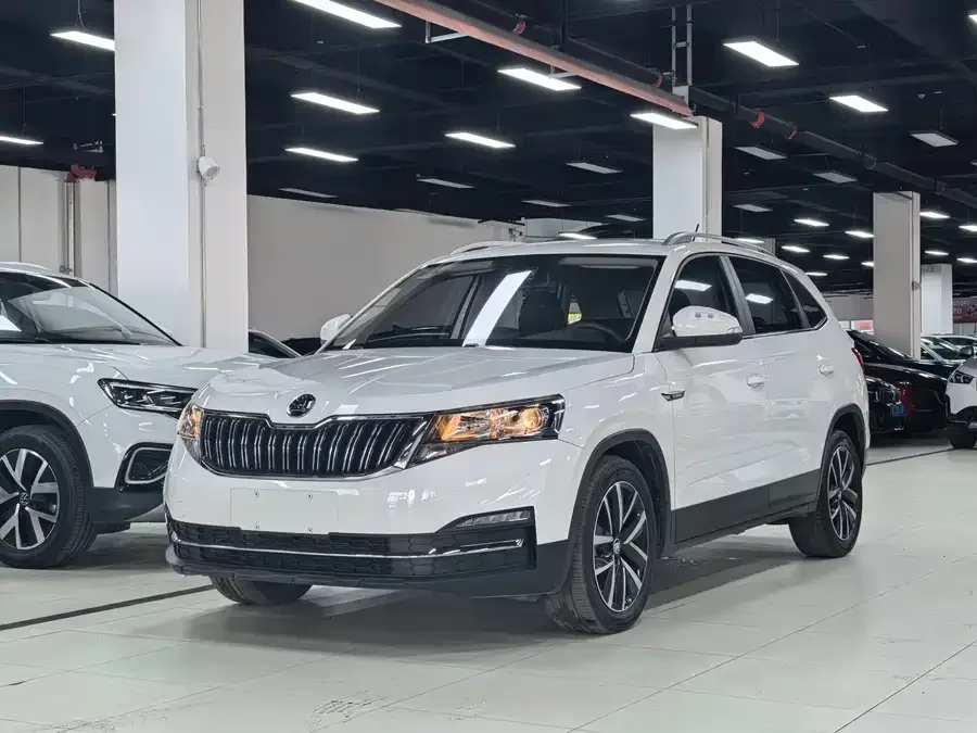 Skoda Kamiq Komic 2022 1.5L automatic comfort version 2022 — фото 1, купить с доставкой в Москву
