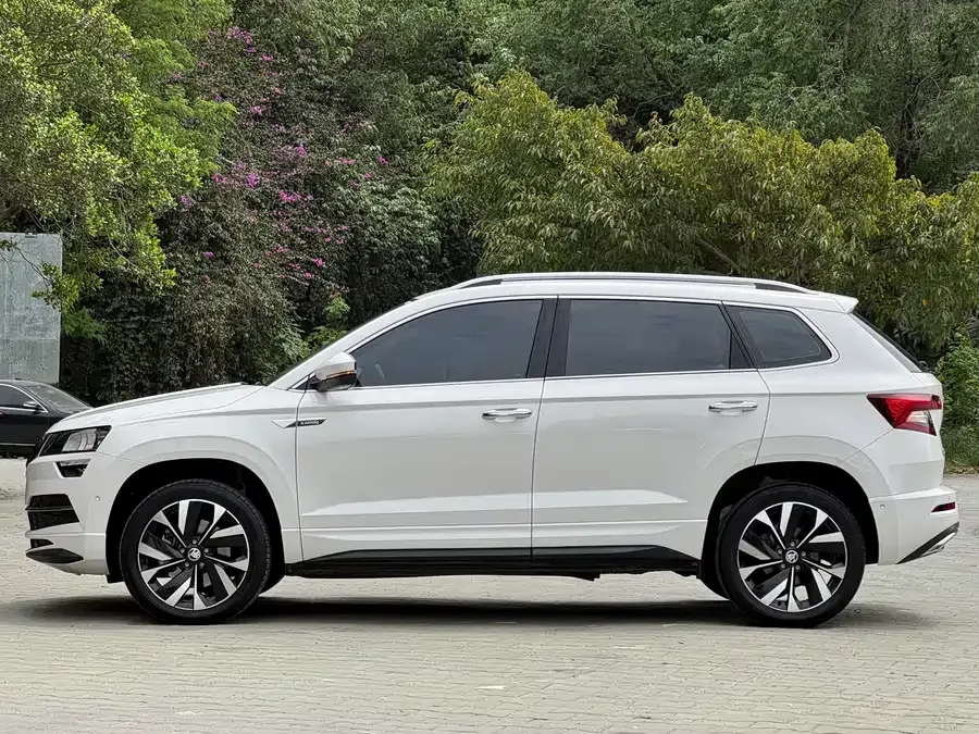 Skoda Karoq Korok 2022 TSI280 Luxury Edition 2022 — миниатюра 3