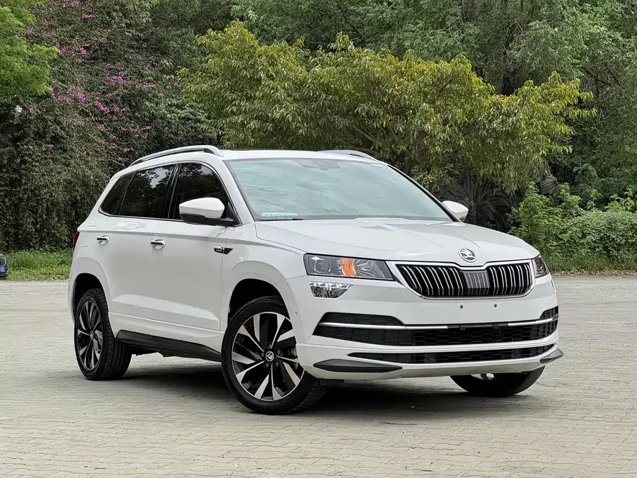 Skoda Karoq Korok 2022 TSI280 Luxury Edition 2022 — миниатюра 4