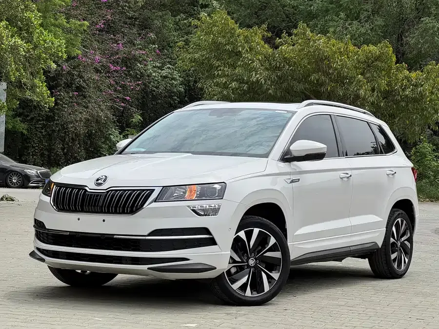 Skoda Karoq Korok 2022 TSI280 Luxury Edition 2022 — фото 1, купить с доставкой в Москву