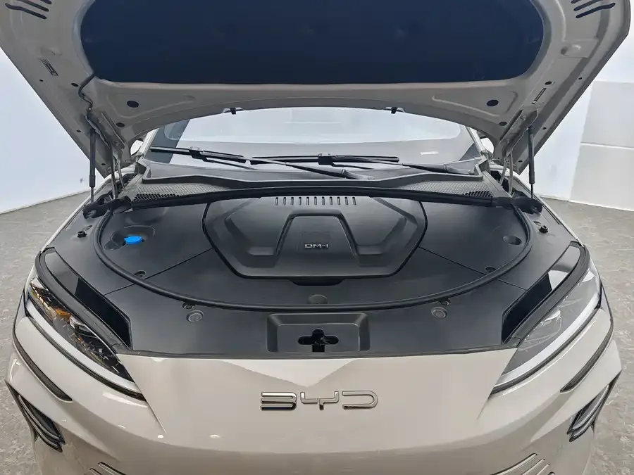 BYD Song PLUS New Energy Song PLUS New Energy 2024 Honor Edition DM-i 71km Luxury 2024 — миниатюра 4