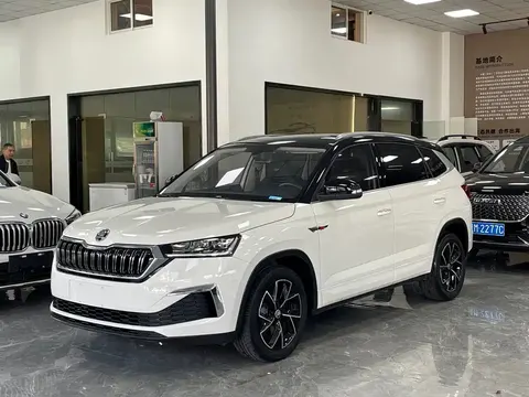 Skoda Kamiq 2022 buy in Moscow