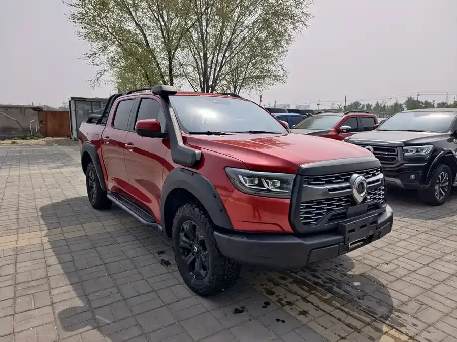 Great Wall gun 2023 2.0T off-road version of the automatic gasoline four-wheel drive limited edition 2023 — миниатюра 3