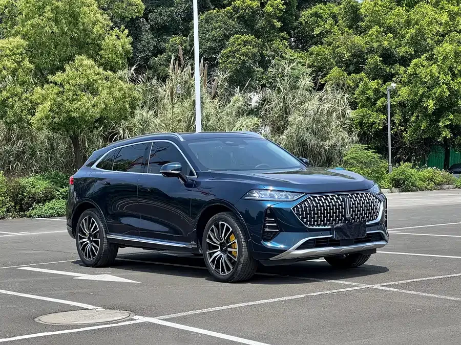 WEY Mocha Wei Mocha 2021 2.0T 4WD Special Edition 2022 — миниатюра 3