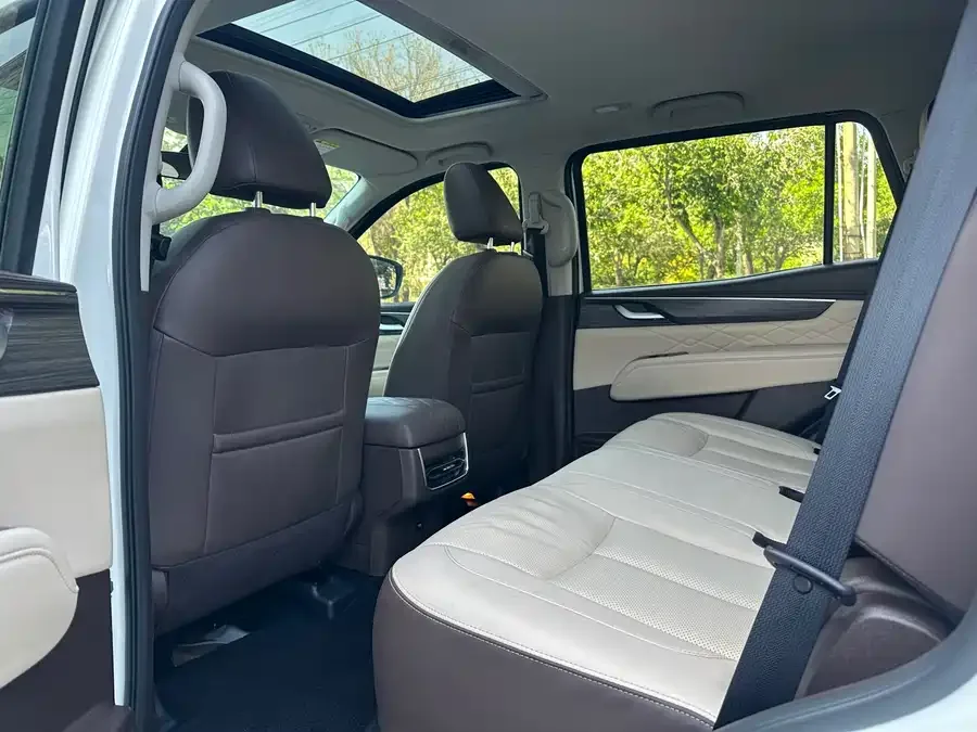 Dongfeng Paladin Paladin 2024 2.0T 4WD Premium Edition 2024 — миниатюра 2
