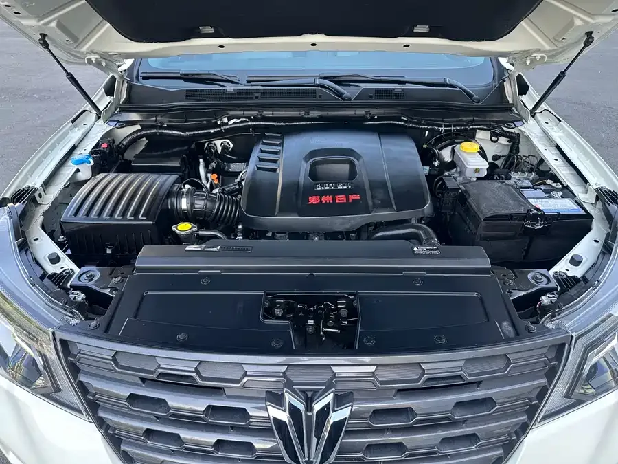 Dongfeng Paladin Paladin 2024 2.0T 4WD Premium Edition 2024 — миниатюра 5