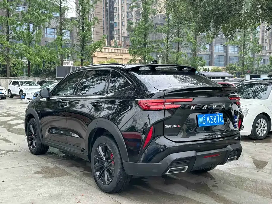 Haval H6S Haval H6S 2022 2.0T 2WD Smart Edition 2022 — миниатюра 3
