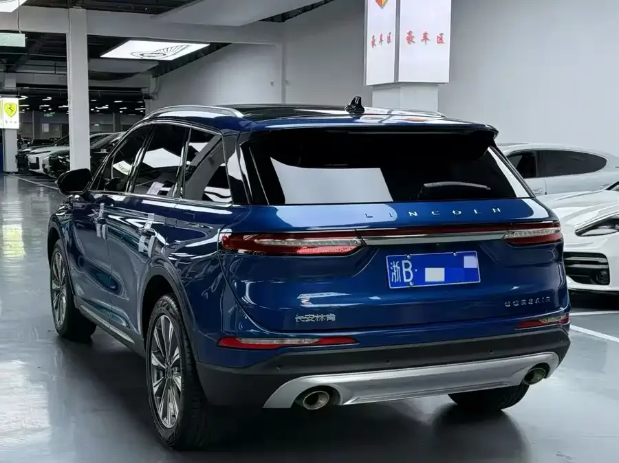 Lincoln Adventurer Adventurer 2020 2.0T four-wheel drive premium version 2022 — миниатюра 4