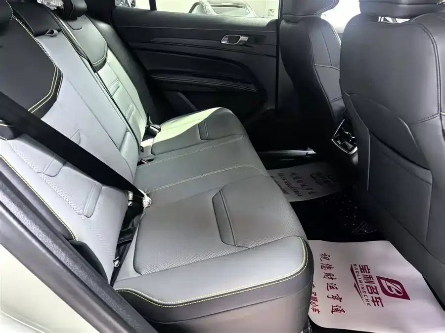 Ford Lingrui New Energy Lingrui New Energy 2025 Zunling PLUS 2025 — миниатюра 5