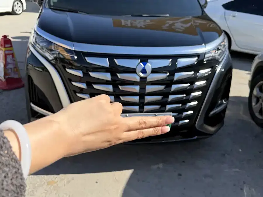 BYD D9 DENZA D9 2024 DM-i 970 Luxury Edition 2025 — фото 1, купить с доставкой в Москву