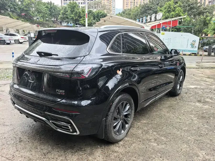 Hongqi HS5 Hongqi HS5 2023 2.0T Flagship Pro Edition 2024 — миниатюра 5