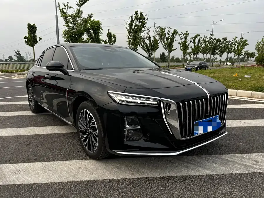 Hongqi H5 Hongqi H5 2025 2.0T Automatic Flagship Edition 2025 — миниатюра 3