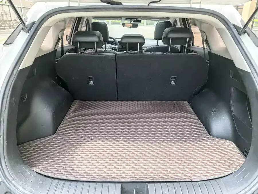 Kia Lion Platinum 2023 Lion Bo Tuojie 2.0T 2WD Premium Edition 2023 — миниатюра 3