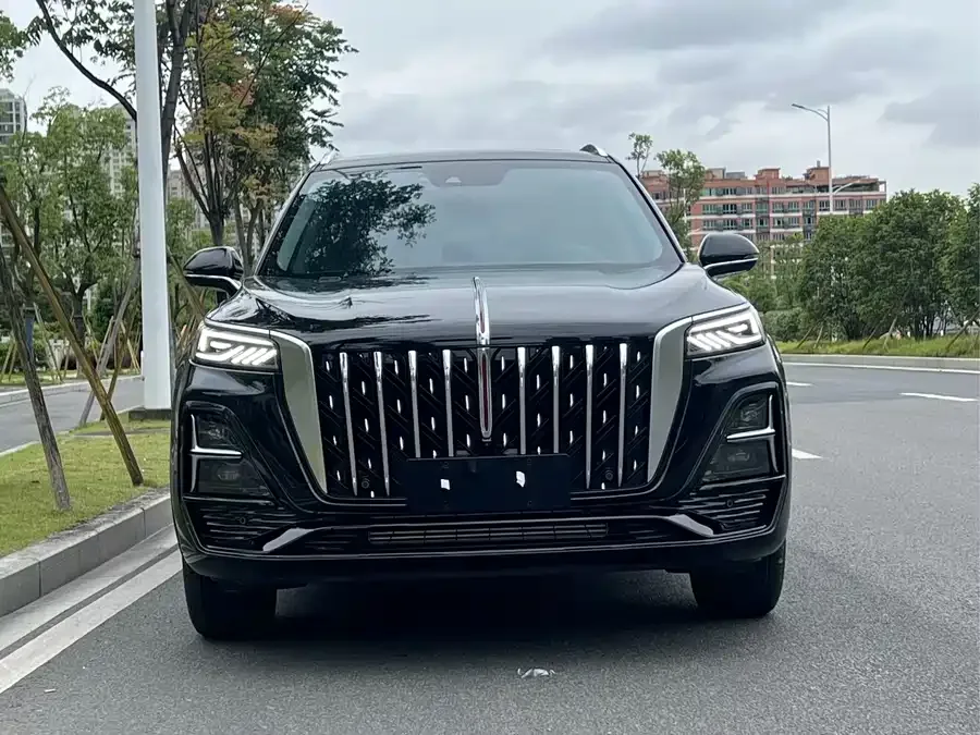 Hongqi HS5 Hongqi HS5 2023 2.0T Flagship Pro Edition 2024 — миниатюра 3