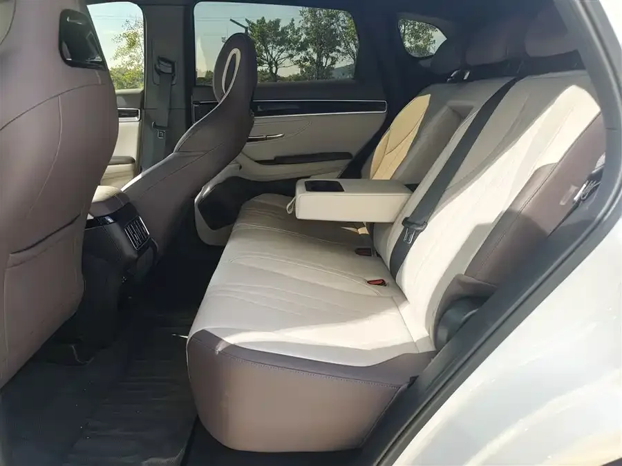 BYD Song PLUS New Energy Song PLUS New Energy 2025 DM-i 112KM Premium Edition 2025 — миниатюра 4