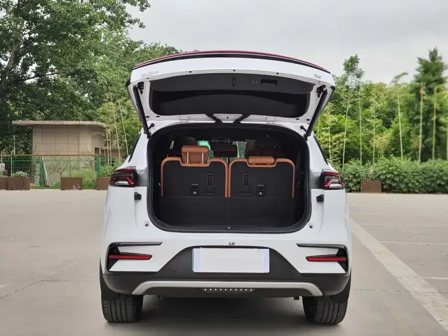 BYD Tang New Energy Tang New Energy 2023 DM-i Champion Edition 112KM Premium Edition 2024 — миниатюра 4