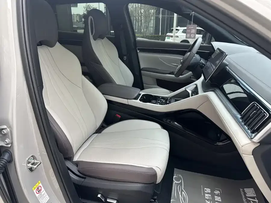 BYD Song PLUS New Energy Song PLUS New Energy 2025 DM-i 112KM Premium Edition 2024 — миниатюра 4