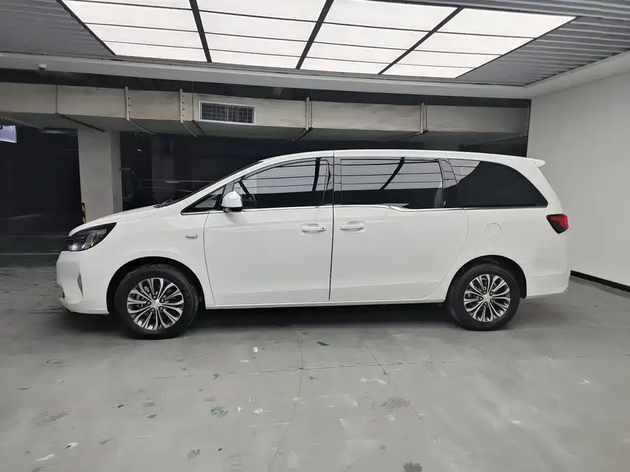 Buick GL8 2022 Land Business Class 652T Comfort Edition 2022 — миниатюра 2