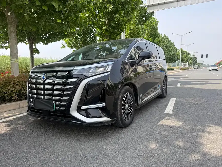BYD D9 DENZA D9 2024 DM-i 970 Luxury Edition 2025 — фото 1, купить с доставкой в Москву