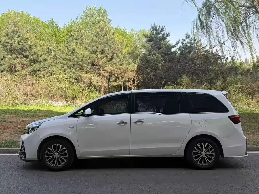 Buick GL8 2022 Land Business Class 652T Comfort Edition 2022 — миниатюра 3