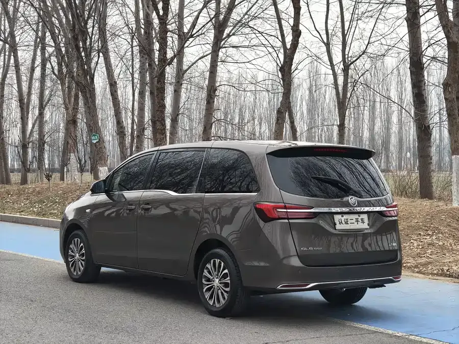 Buick GL8 2022 Land Business Class 652T Comfort Edition 2022 — миниатюра 4