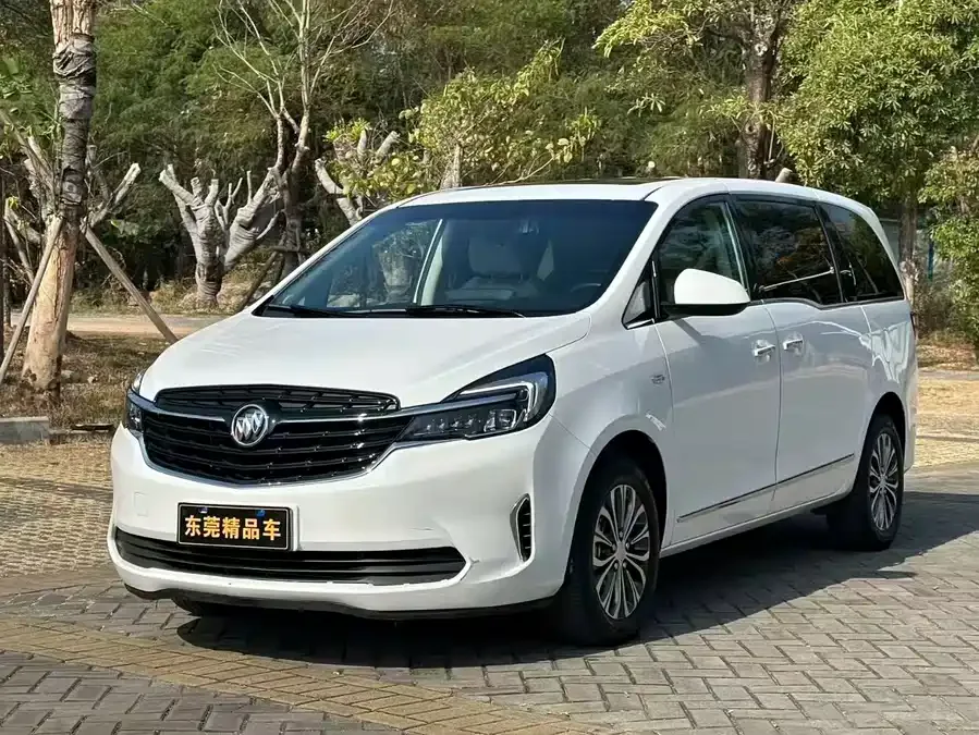 Buick GL8 2022 Land Business Class 652T Luxury Edition 2022 — миниатюра 3