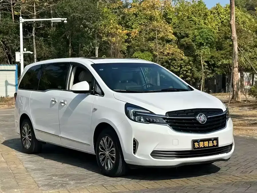 Buick GL8 2022 Land Business Class 652T Luxury Edition 2022 — фото 1, купить с доставкой в Москву