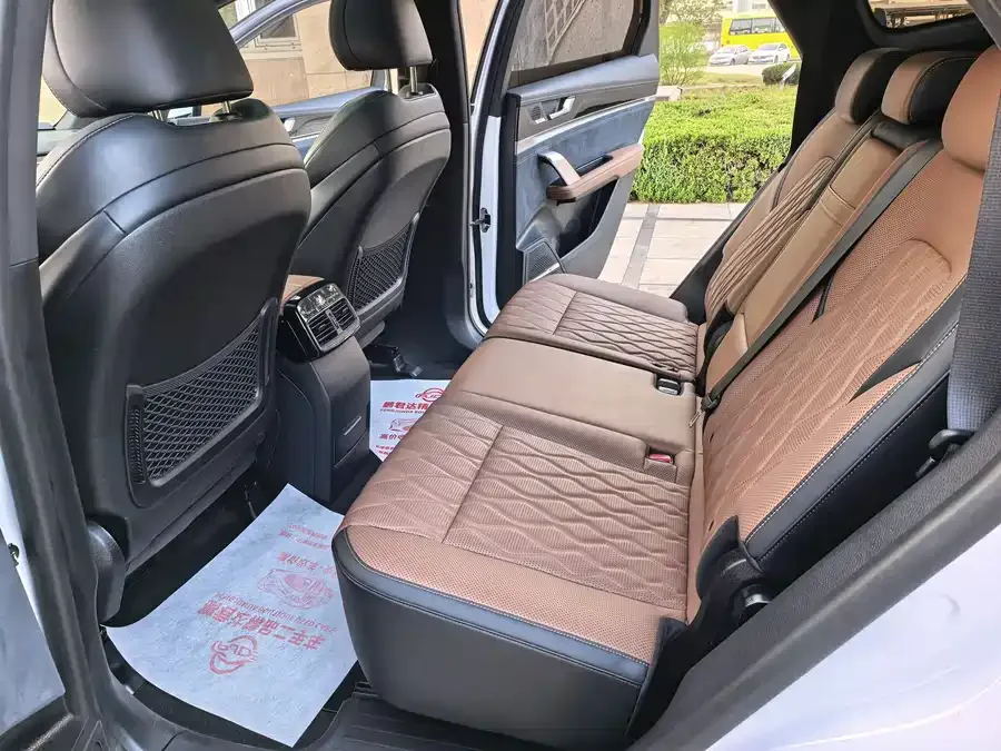 BYD Tang New Energy Tang New Energy 2021 DM-i 112KM Premium Edition 2022 — миниатюра 3
