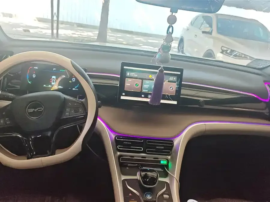 BYD Song Pro New Energy Song Pro New Energy 2024 Honor Edition DM-i 71KM Pilot Edition 2024 — миниатюра 4