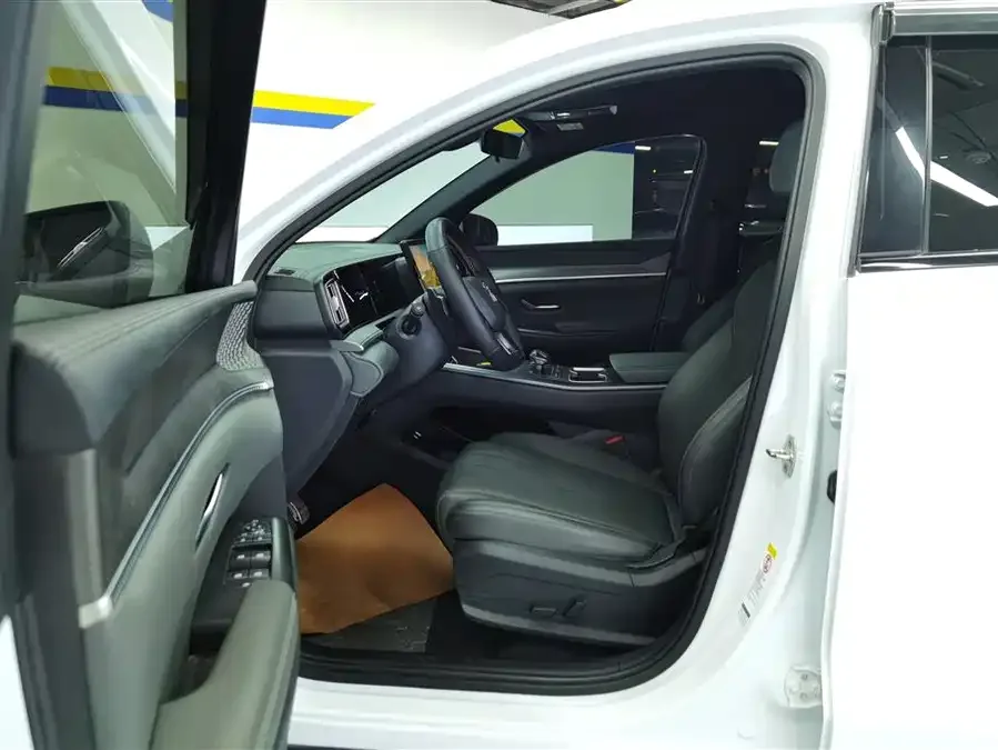BYD Song Pro New Energy Song Pro New Energy 2025 Second Generation Intelligent Driving Edition DM-i 75KM Leading Edition 2025 — миниатюра 3