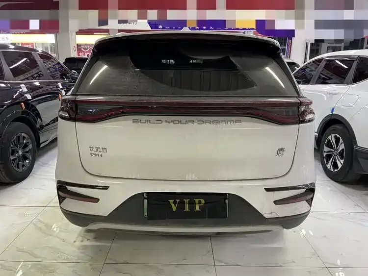 BYD Tang New Energy Tang New Energy 2021 DM-i 112KM Premium Edition 2022 — миниатюра 2