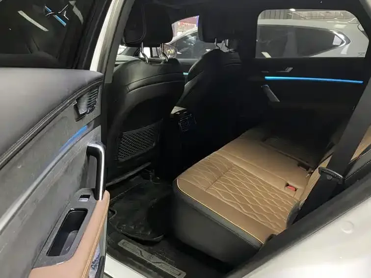 BYD Tang New Energy Tang New Energy 2021 DM-i 112KM Premium Edition 2022 — миниатюра 5