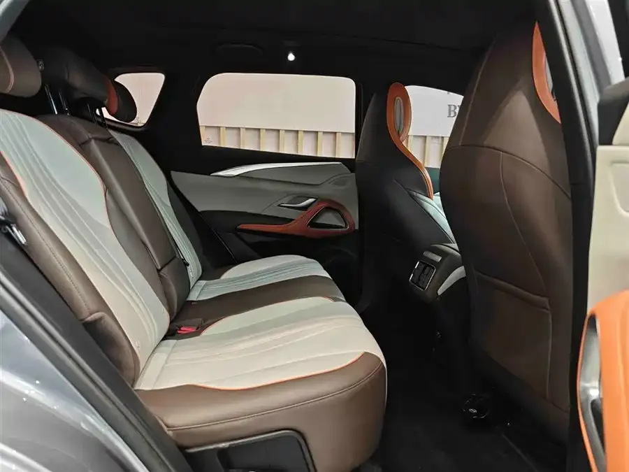 BYD Song Pro New Energy Song Pro New Energy 2023 Champion Edition DM-i 110KM Beyond Edition 2023 — миниатюра 3