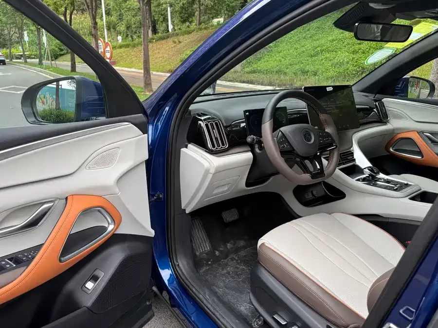 BYD Song Pro New Energy Song Pro New Energy 2023 Champion Edition DM-i 110KM Excellence 2025 — миниатюра 5