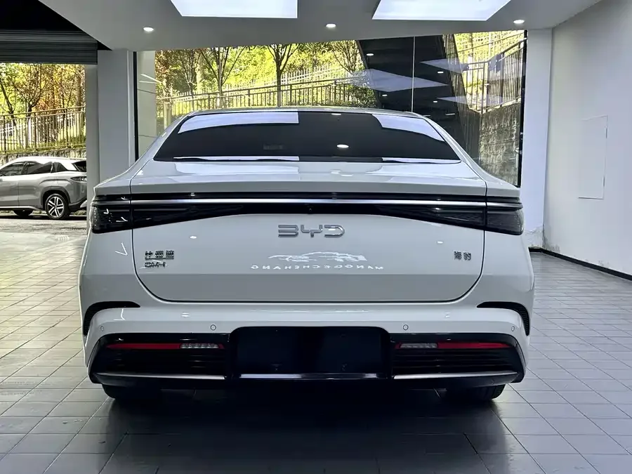 BYD seal Haibao 2023 DM-i 1.5L 121km Luxury Edition 2024 — миниатюра 3