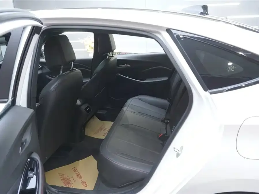 Buick Verano Valeant 2023 Pro GS Hunting Edition 2023 — миниатюра 5