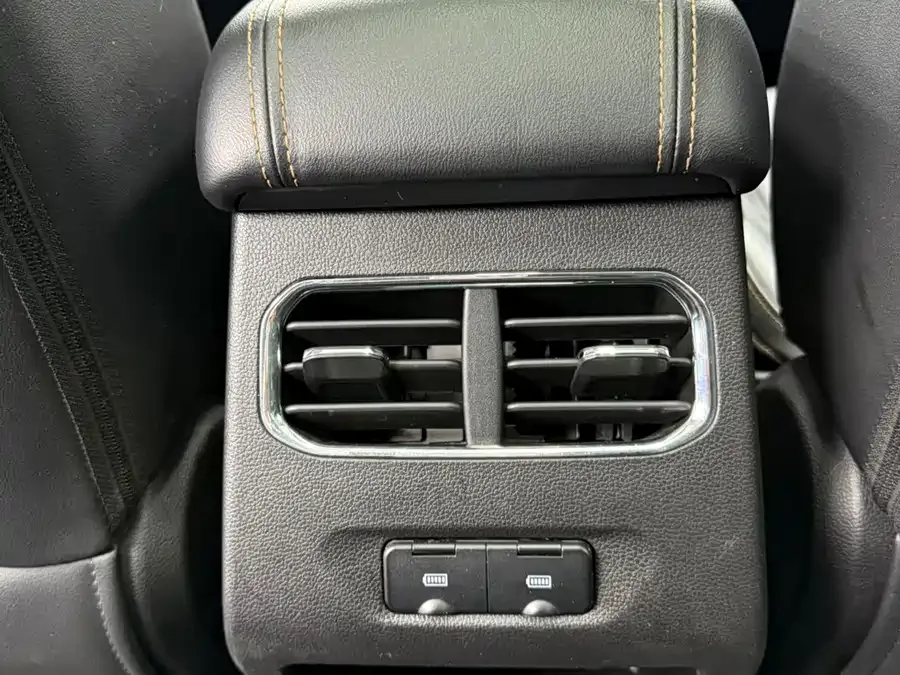 Haval Chitu (Red Rabbit) Haval Chitu 2022 Jinxiang Edition 1.5T Bronze Rabbit 2022 — миниатюра 5