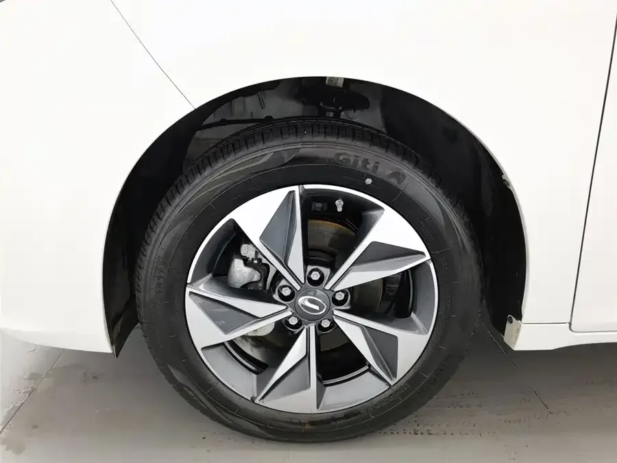 GAC Trumpchi M6 Trumpchi M6 2023 PRO 270T DCT Luxury Edition 2024 — миниатюра 5