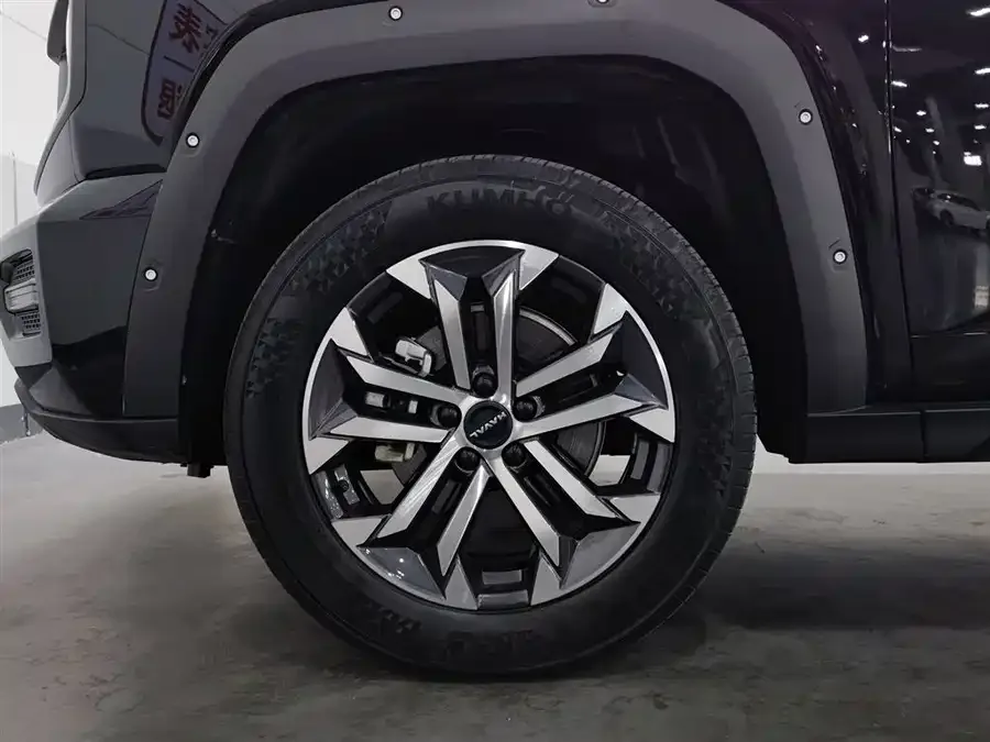 Haval Big Dog PLUS Haval Big Dog PLUS 2023 1.5T 2WD Trendy Wild Edition Plus 2023 — миниатюра 5