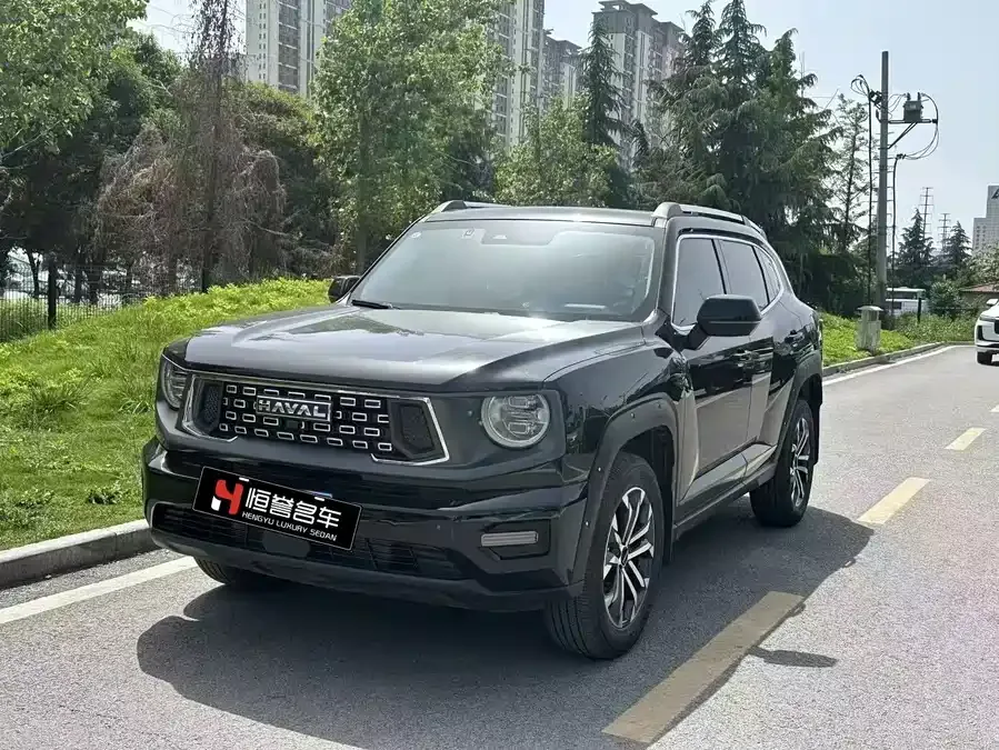 Haval Big Dog PLUS Haval Big Dog PLUS 2023 1.5T 2WD Trendy Wild Edition Plus 2024 — фото 1, купить с доставкой в Москву