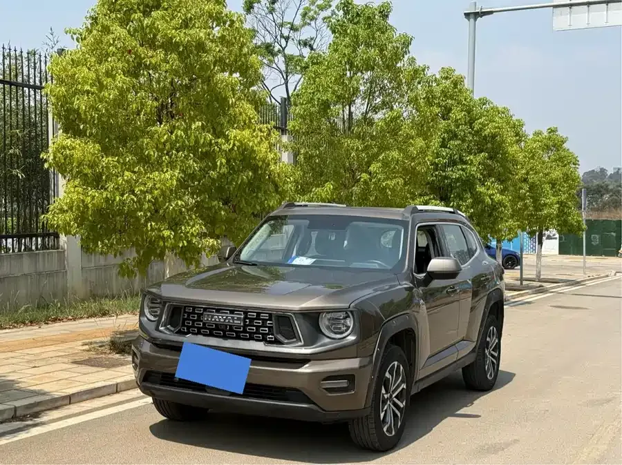 Haval Big Dog PLUS Haval Big Dog PLUS 2023 1.5T 2WD Trendy Wild Edition Plus 2023 — фото 1, купить с доставкой в Москву