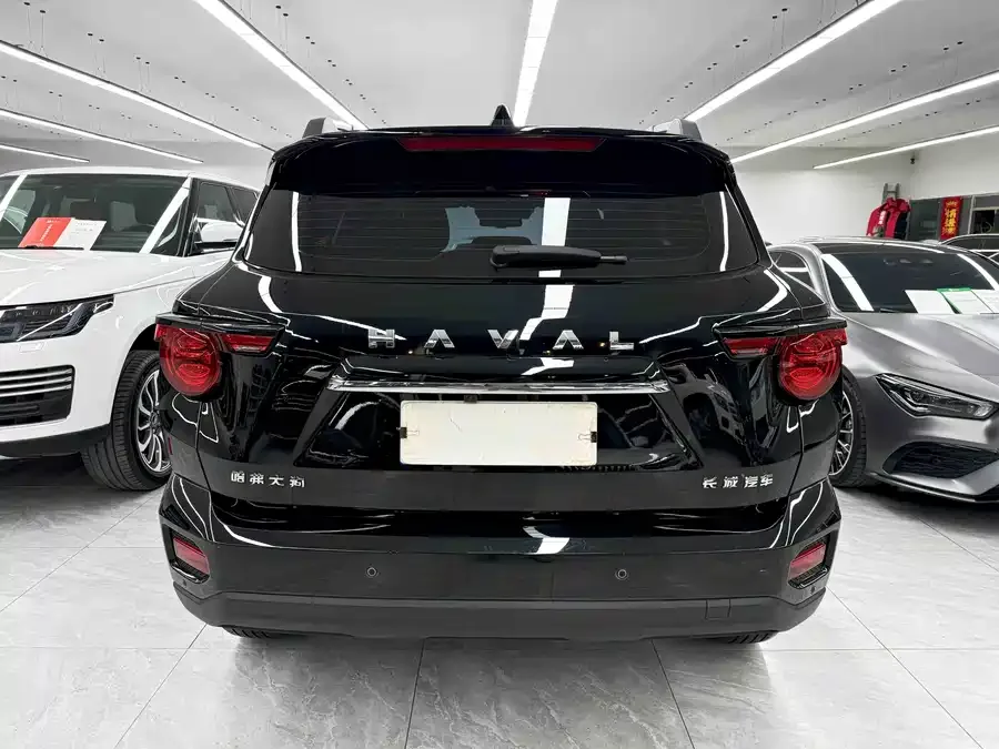 Haval Big Dog PLUS Haval Big Dog PLUS 2023 2.0T 2WD Trendy Wild Edition Plus 2024 — миниатюра 2