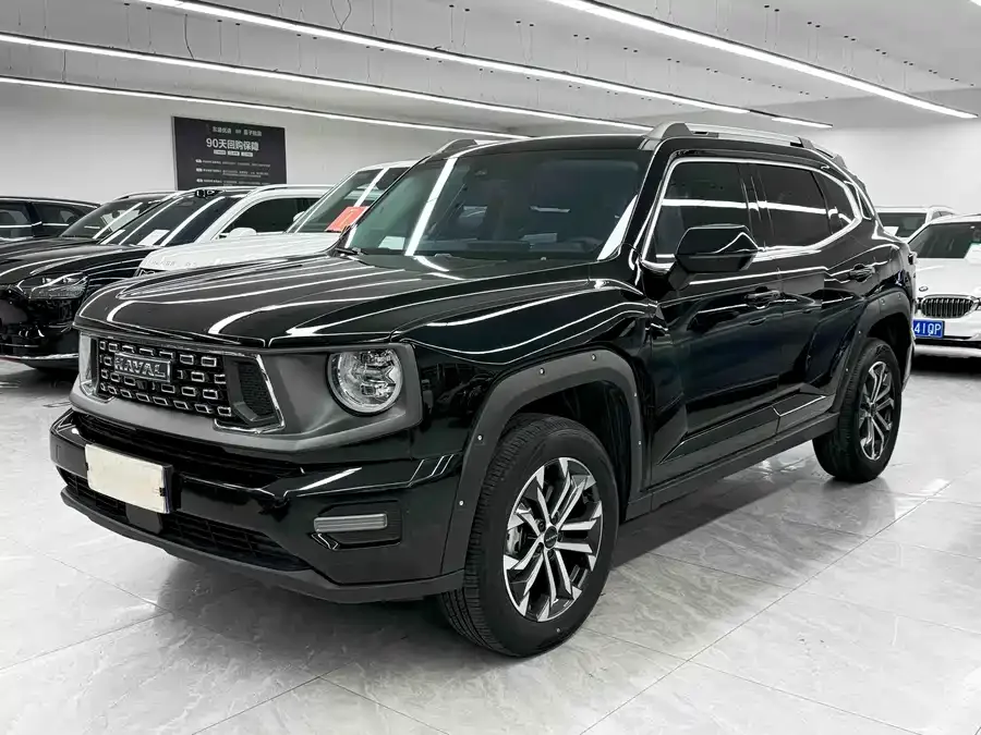 Haval Big Dog PLUS Haval Big Dog PLUS 2023 2.0T 2WD Trendy Wild Edition Plus 2024 — фото 1, купить с доставкой в Москву
