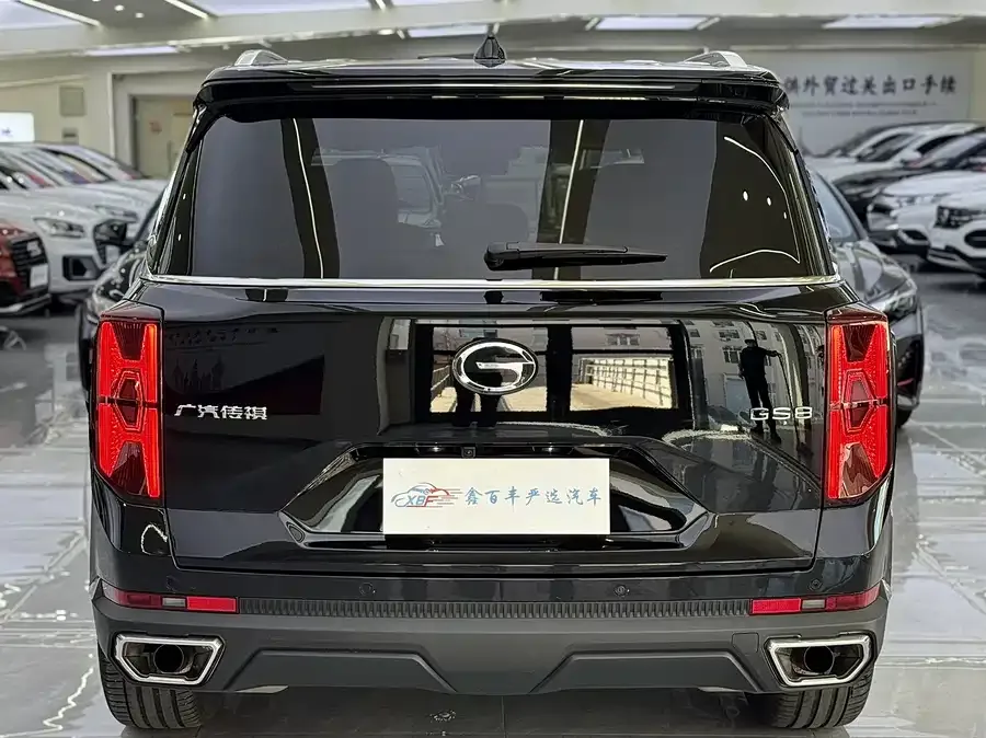 GAC Trumpchi GS8 Trumpchi GS8 2025 Pilot Series 2.0TGDI 2WD Luxury Edition 5 Seaters 2025 — миниатюра 3