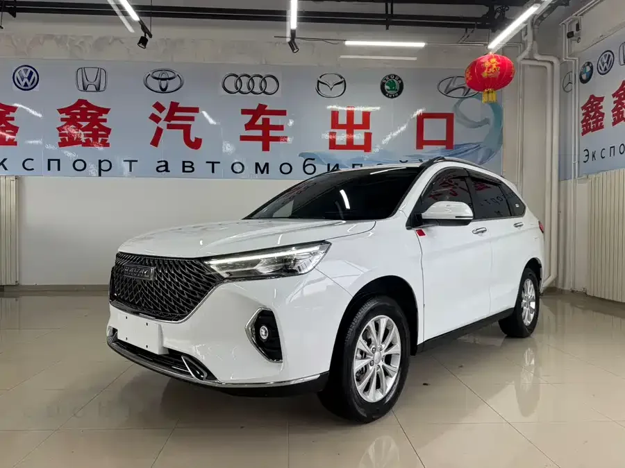 Haval M6 Haval M6 2023 PLUS 1.5T DCT Luxury Smart Connected Edition 2023 — фото 1, купить с доставкой в Москву