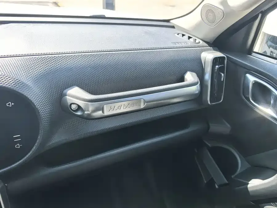 Haval Big dog Haval Big Dog 2022 1.5T DCT 2WD Border Collie Edition 2023 — миниатюра 4